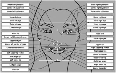 Measuring the Candidates' Emotions in Political Debates Based on Facial Expression Recognition Techniques